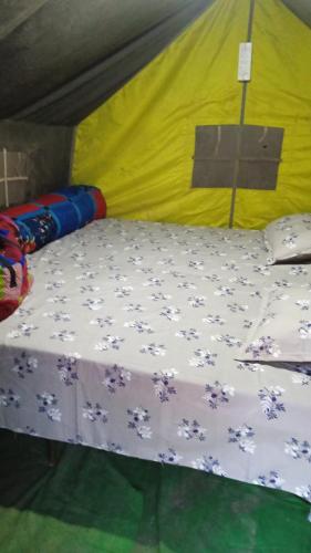 anmols camps and huts by stayapart