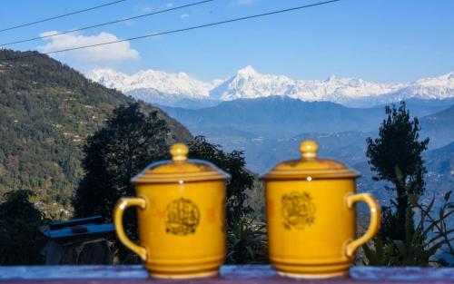 wild orchid homestay by stayapart