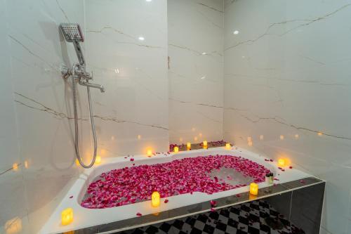 palm hotel mansarovar