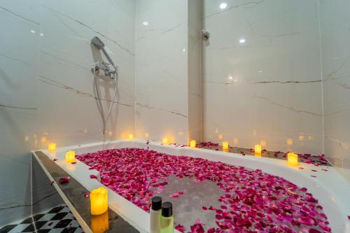 palm hotel mansarovar