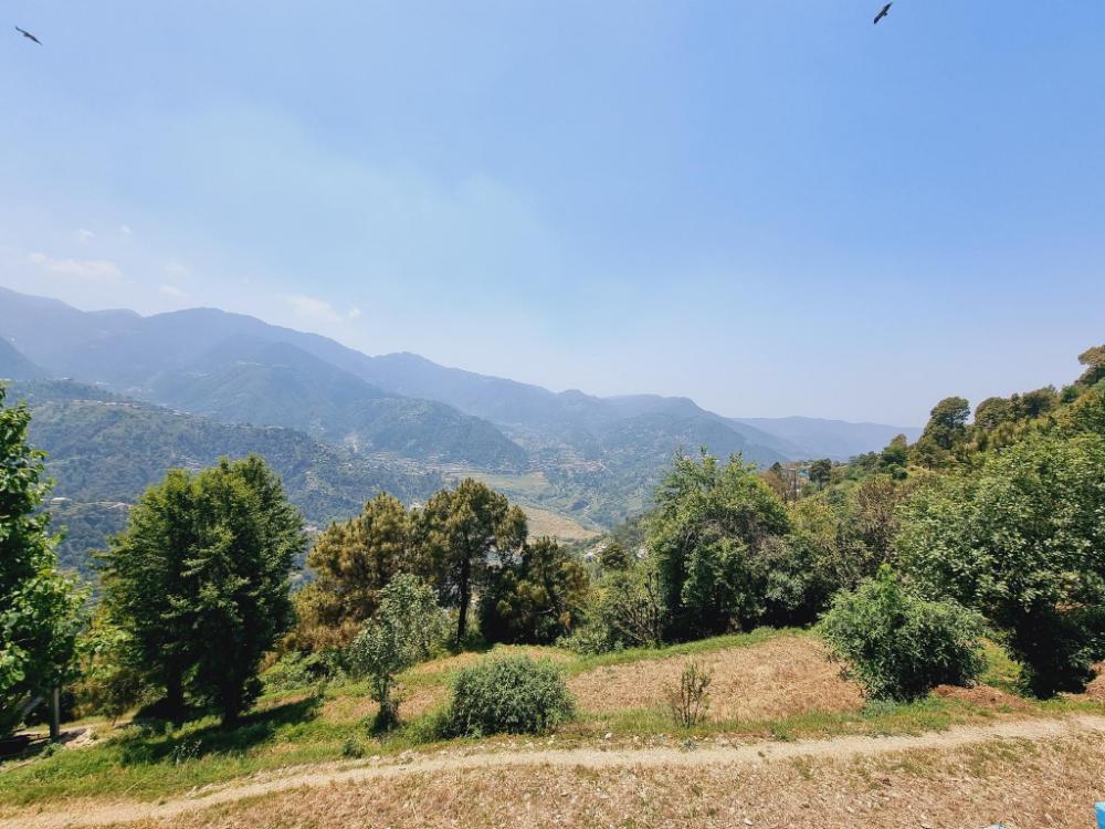 the frost heaven dalhousie