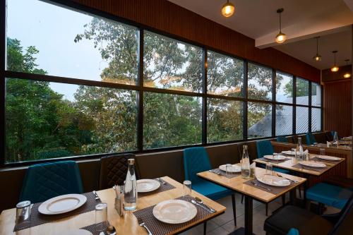 velvet clouds munnar