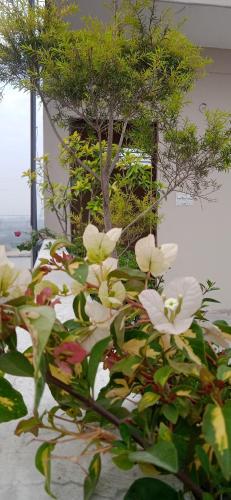 yogam homestay agra
