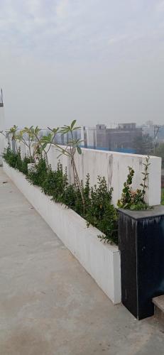 yogam homestay agra