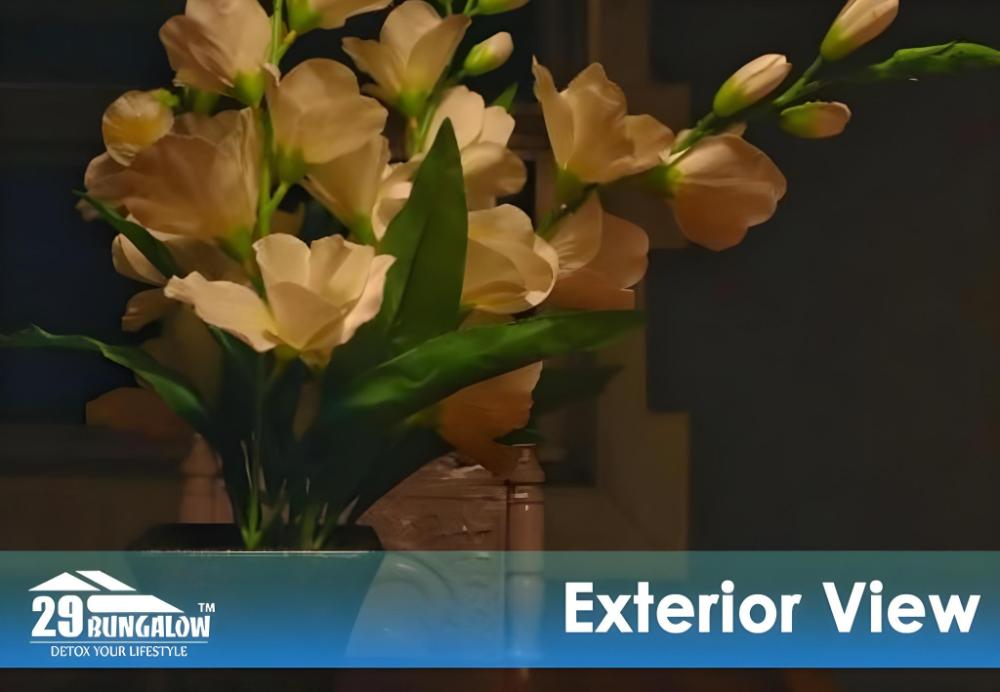 velvet rooms by 29bungalow