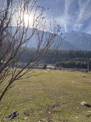 riverdale by stay pattern