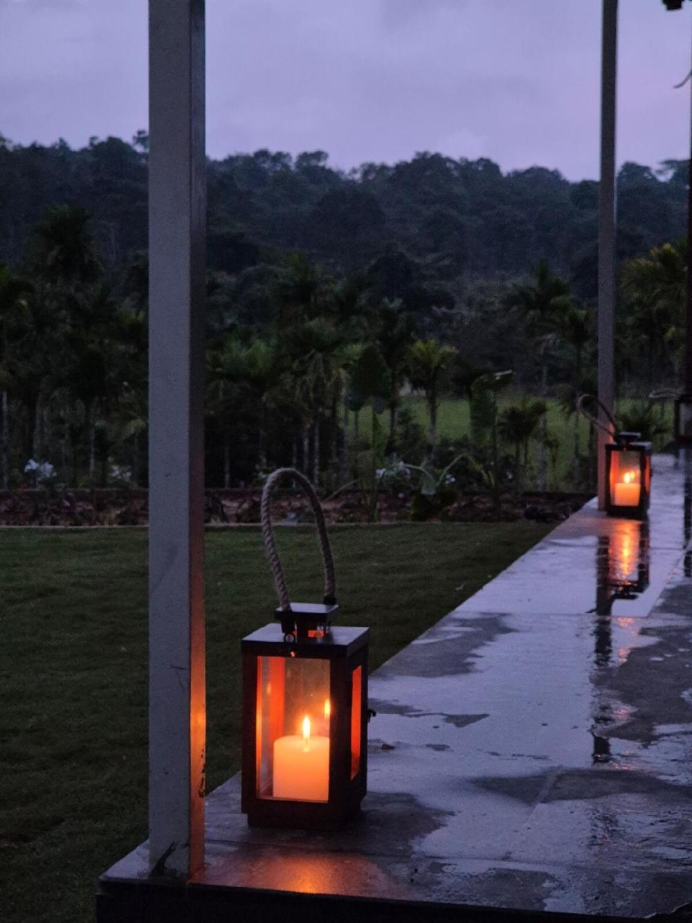 songs of the treepie