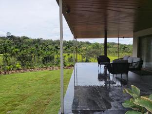 songs of the treepie