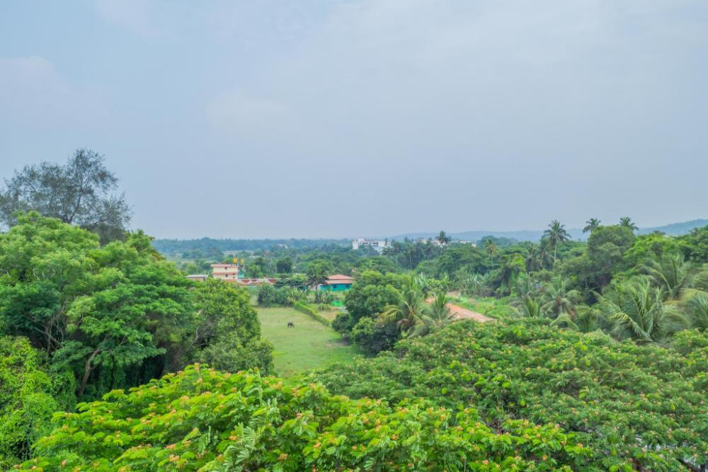 effotel by sayaji goa