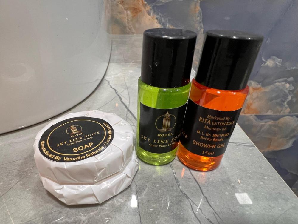 hotel sky suites sahar cargo