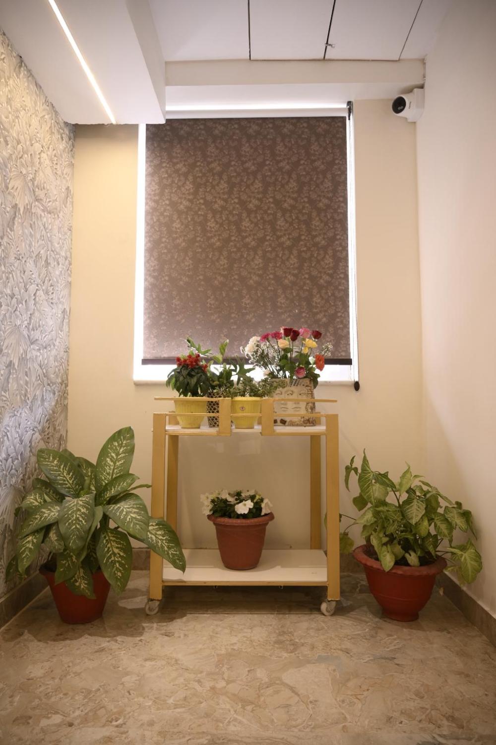 shalom a boutique hotel