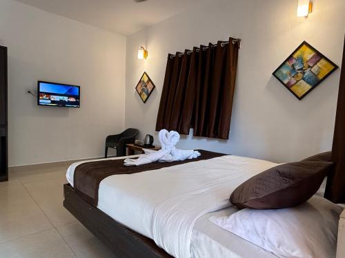 aura rooms and swimming pool calangute