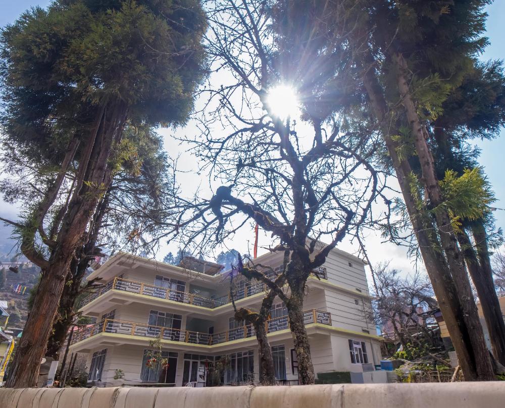 divine brookyard resort