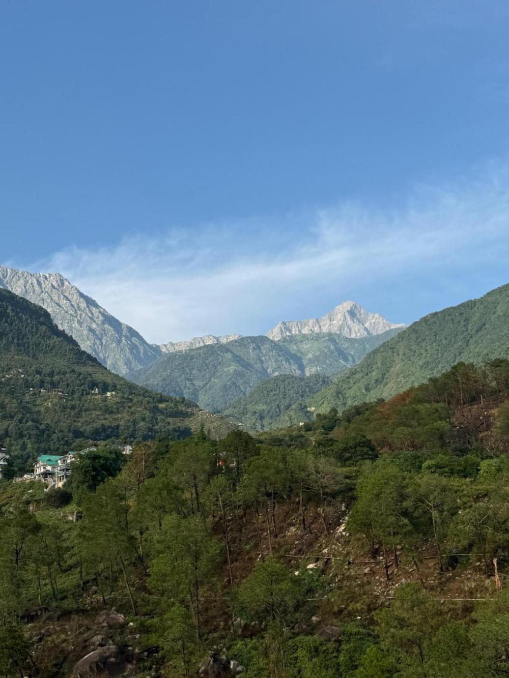 hotel manuni inn dharamshala