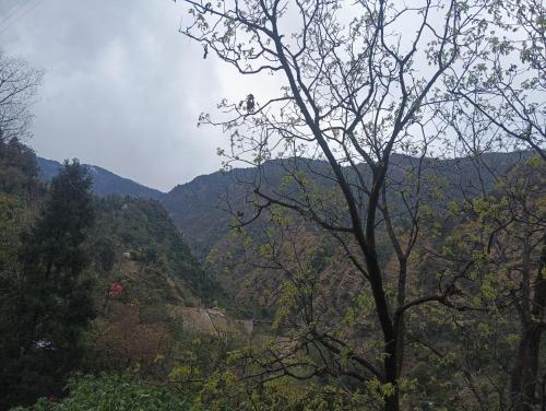 guptkashi