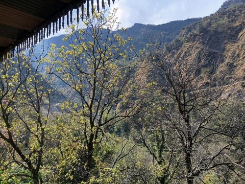 guptkashi