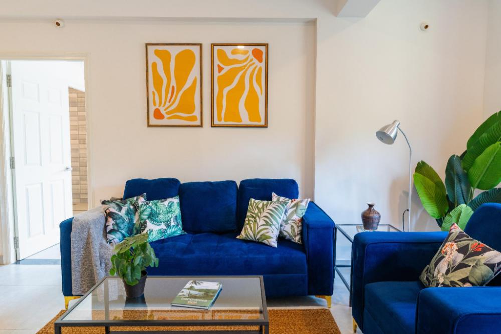 mona collective at serenova