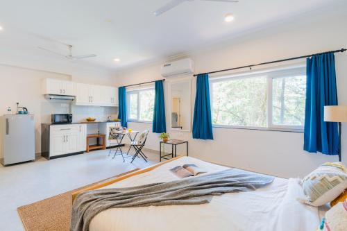 mona collective at serenova