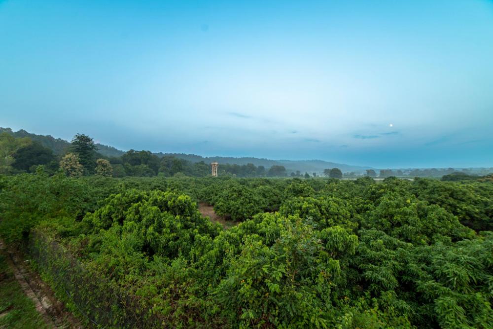 vanya resort corbett