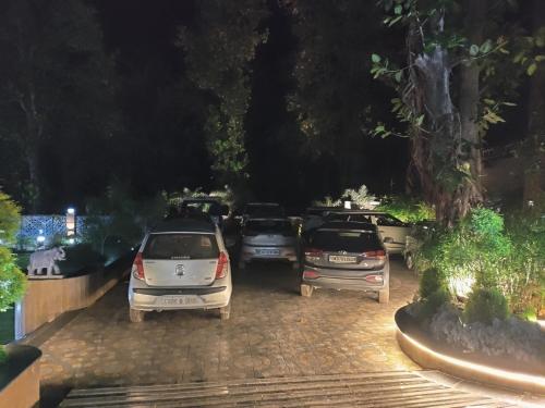 the green icon resort