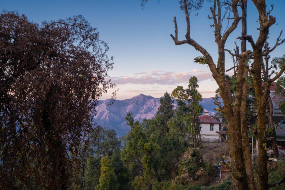 perfectstayz premium westend mall road