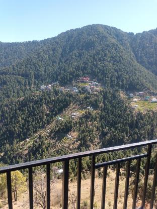 comforts stay dalhousie