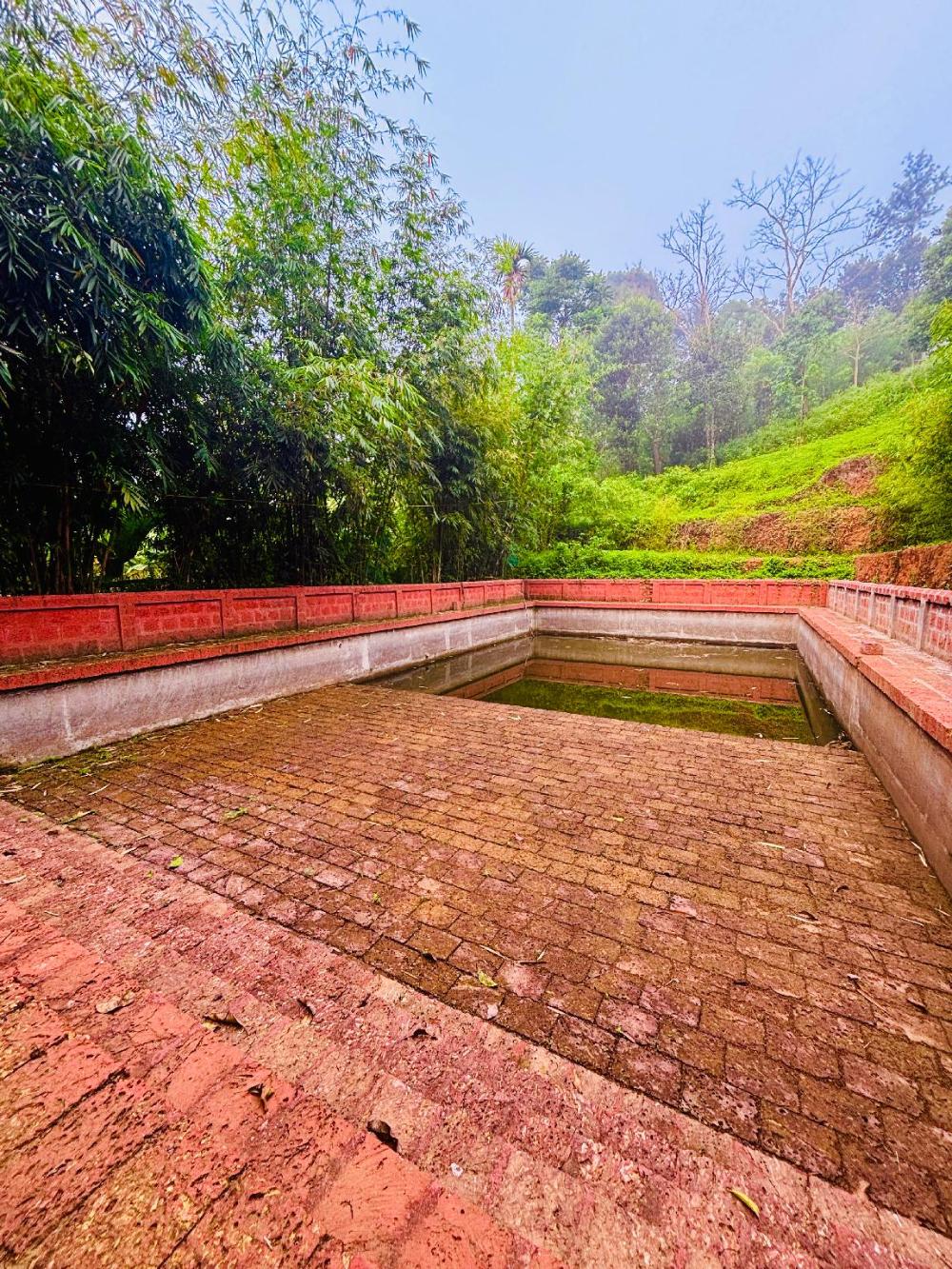 vaca vibes elements resorts