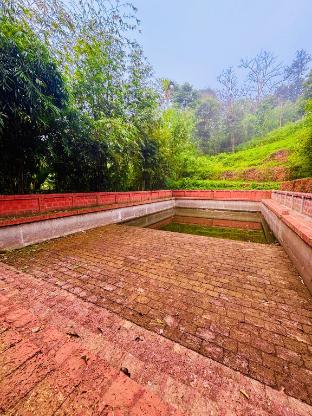 vaca vibes elements resorts