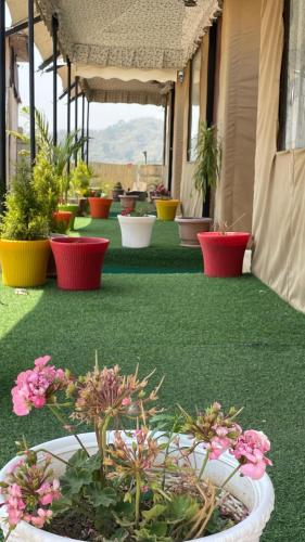 bambooz bel cottage and camps kasauli