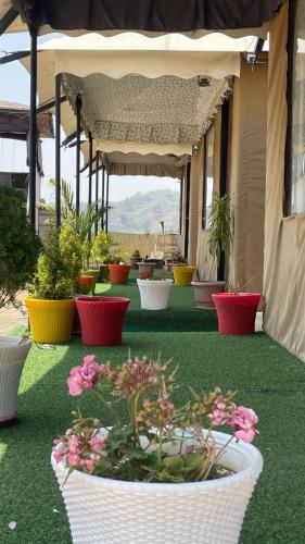 bambooz bel cottage and camps kasauli