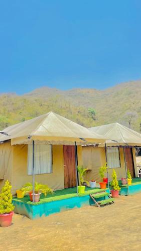 bambooz bel cottage and camps kasauli