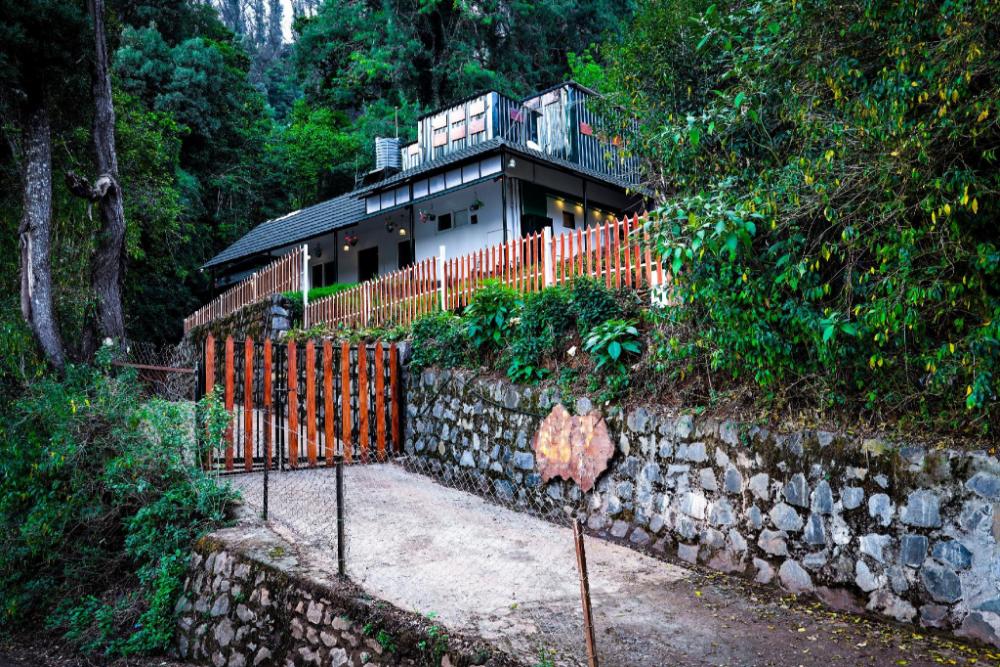 amber by the tamarillo