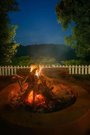 amber by the tamarillo