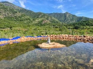 soleil farm stay