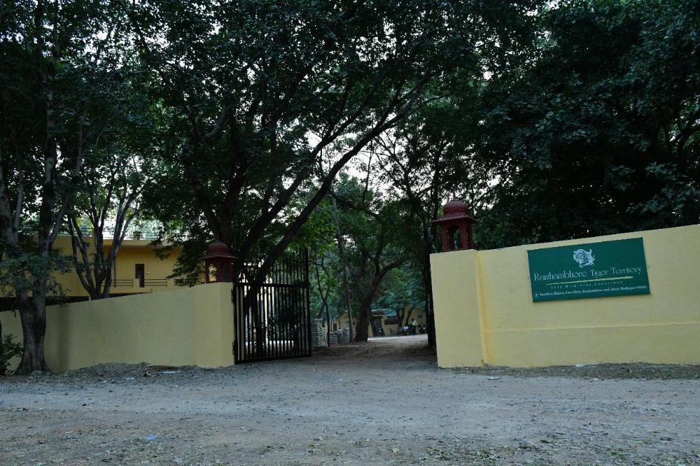 ranthambhore tiger territory