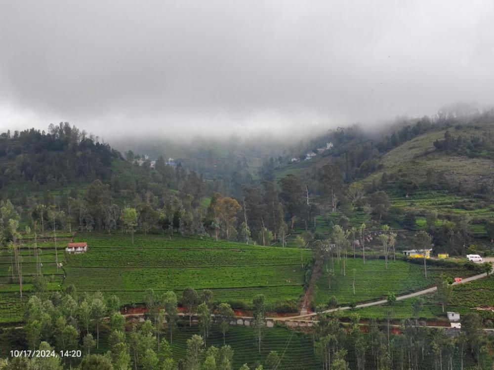 ooty