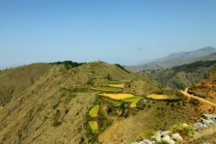 chakrata pacific resort and spa