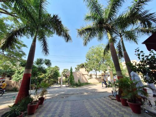 nancy paradise hotel