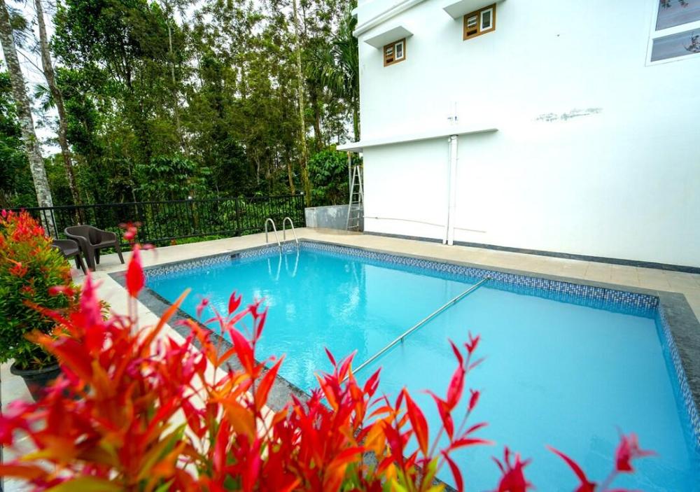 oasis vythiri pool aparments