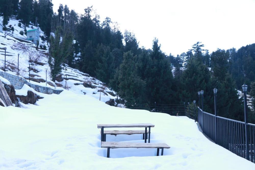 dalhousie