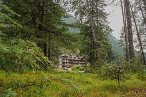 kasol