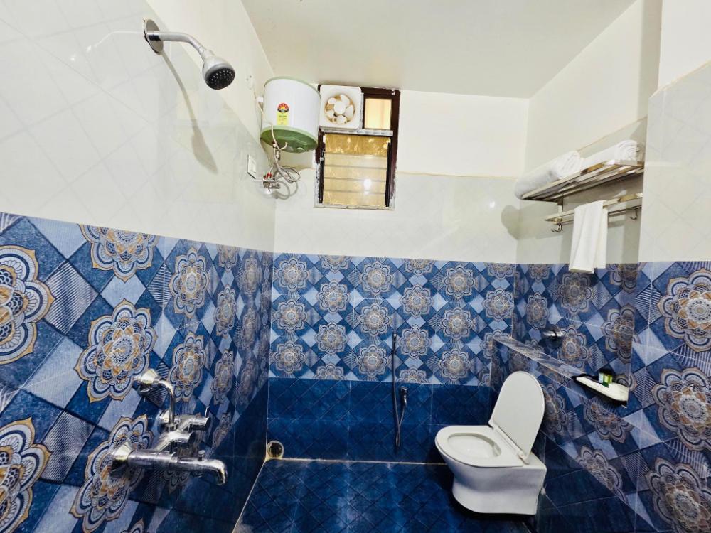 hotel dream palace patna