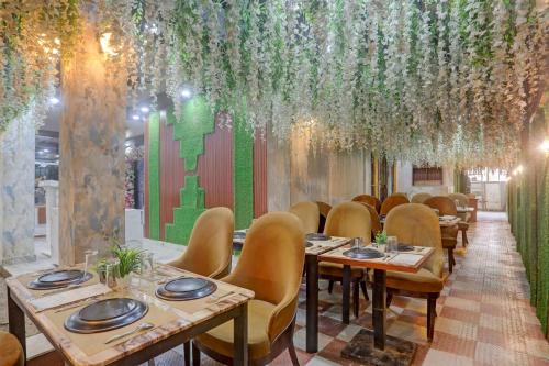 hotel dream palace patna