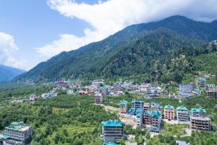 himalayan spurge villa