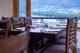 himalayan spurge villa