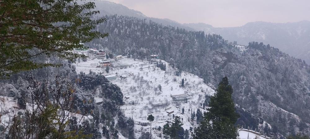 shimla
