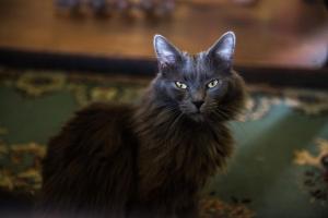 posada del fin del mundo