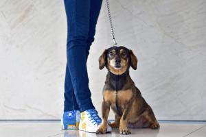 pestana berlin tiergarten