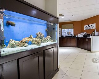Sleep Inn Ormond Beach - Daytona,Holly Hill>>Daytona Beach,3 star