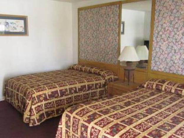 the palm springs hotel
